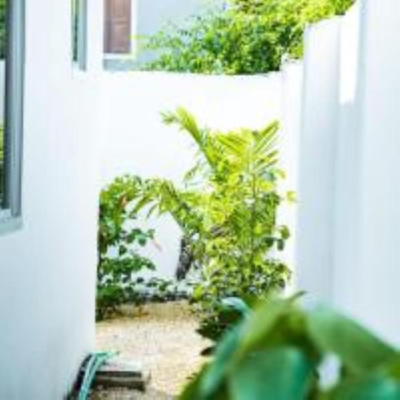 Tamu House Pajé Beach Exteriér fotografie